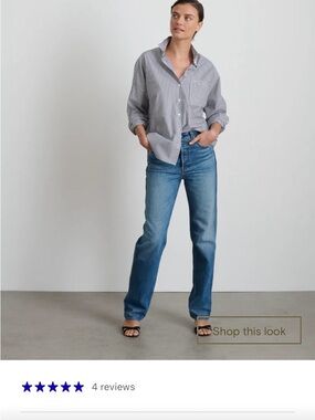 NWOT, Alex Mill Jo Shirt in White and navy stripe